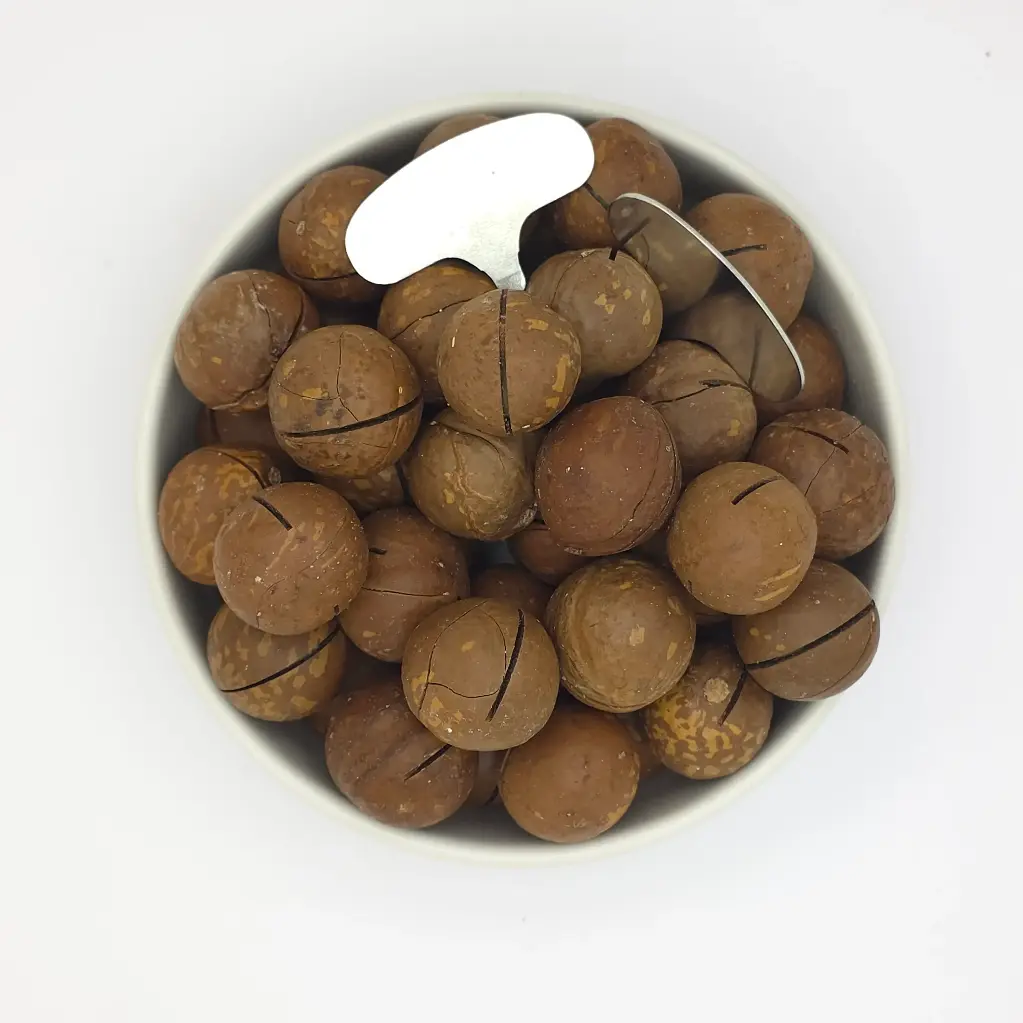 مكاديميا بقشر 