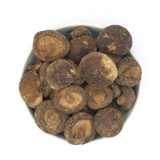 مشروم مجففة فاكيوم